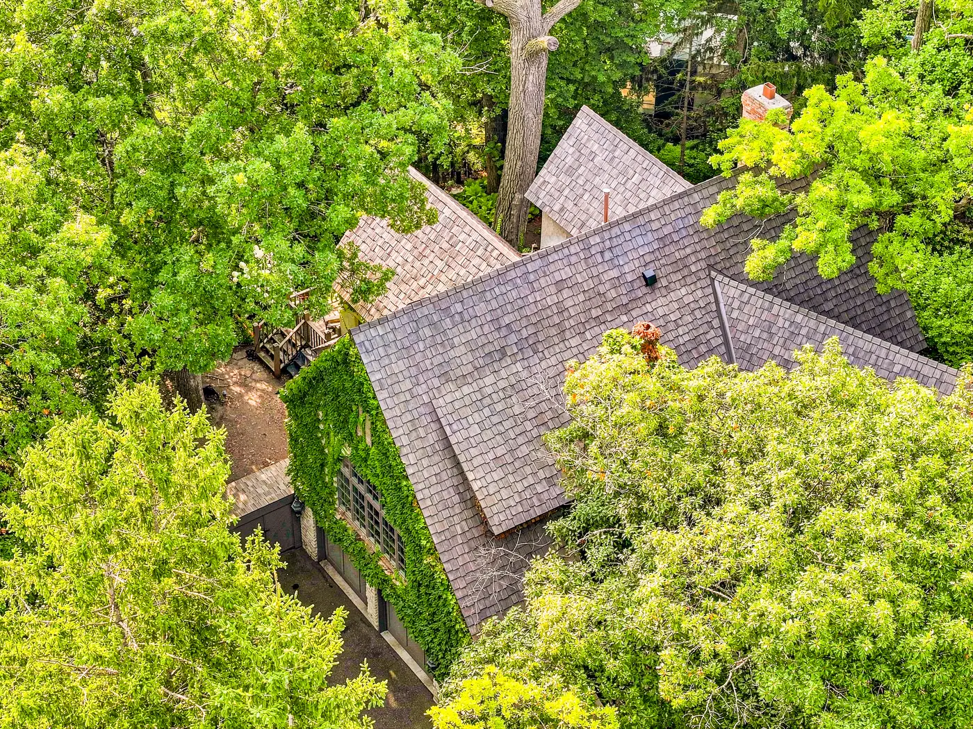 After — Ivy-covered gable end
