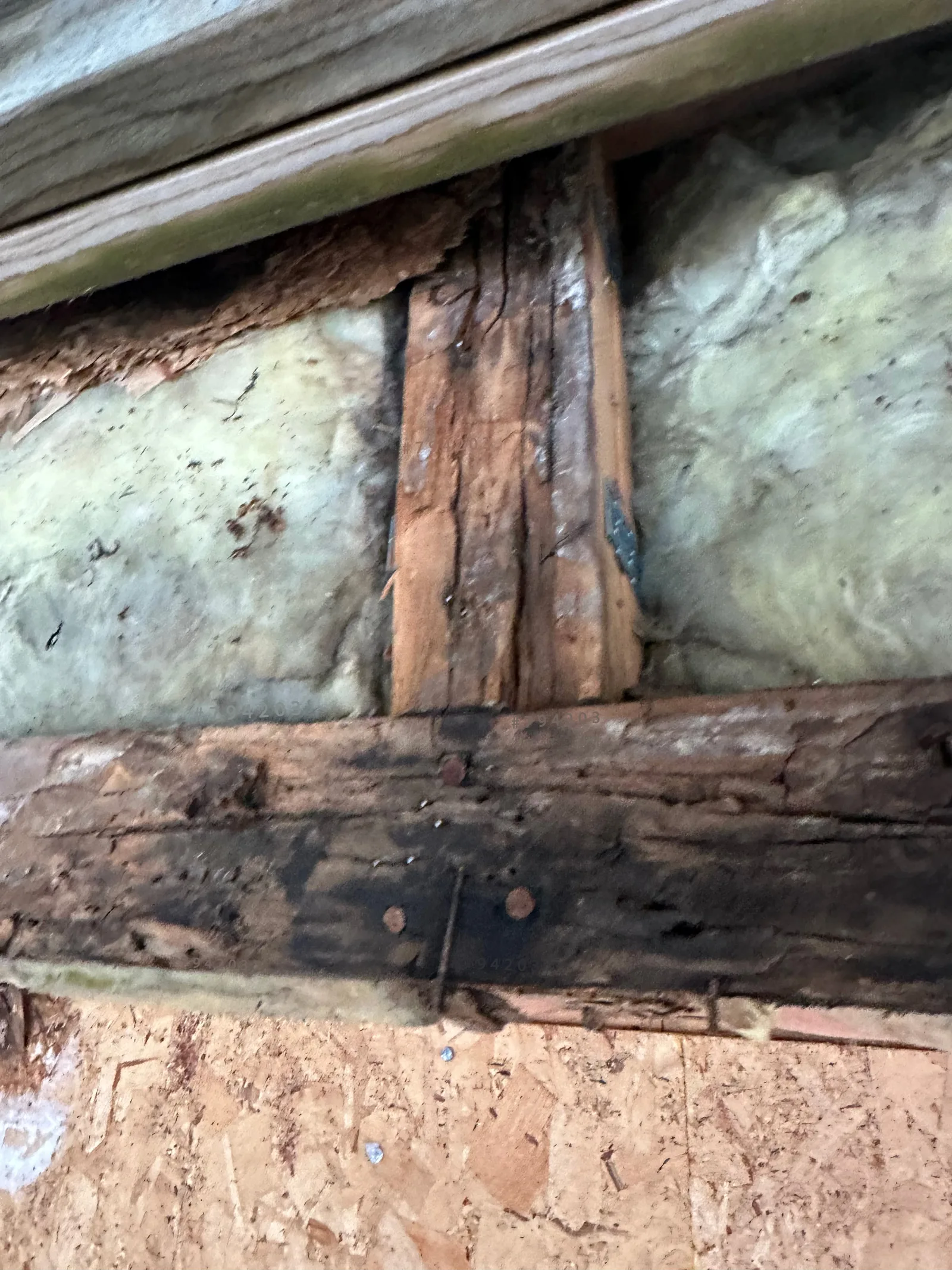 Siding Rot: Photos and Inspection Questions — archived photo 16