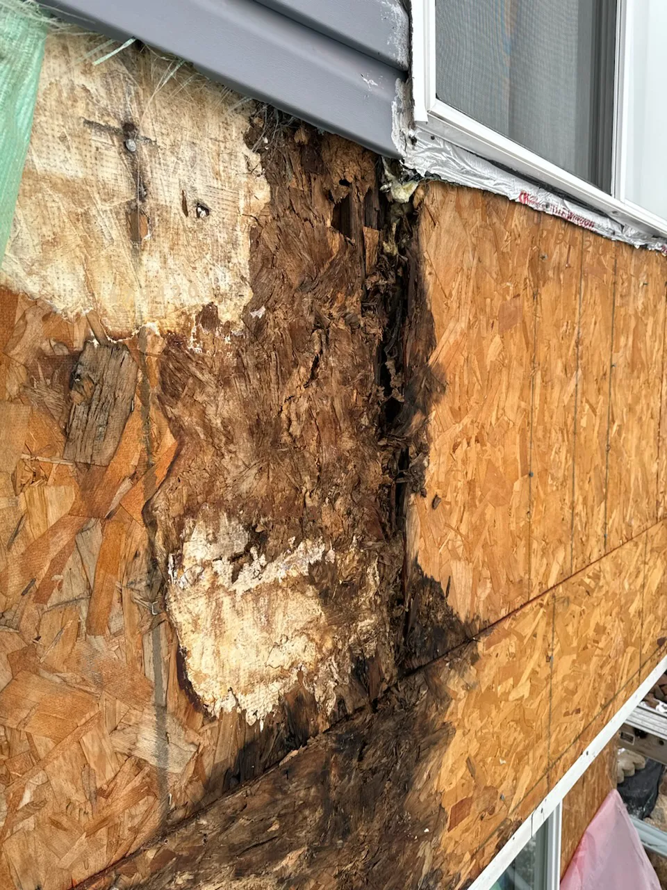 Siding Rot: Photos and Inspection Questions — archived photo 3