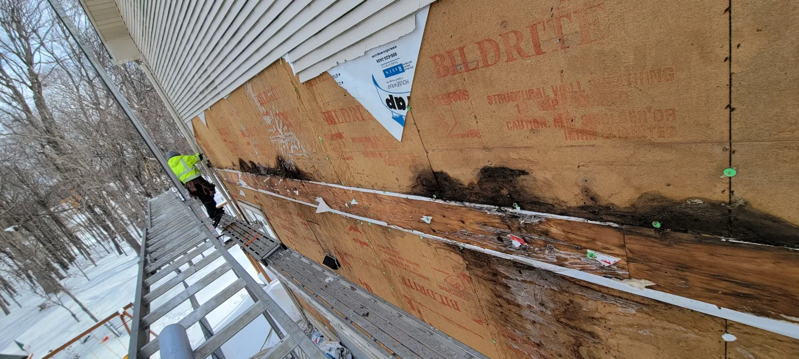 Siding Rot: Photos and Inspection Questions — archived photo 5