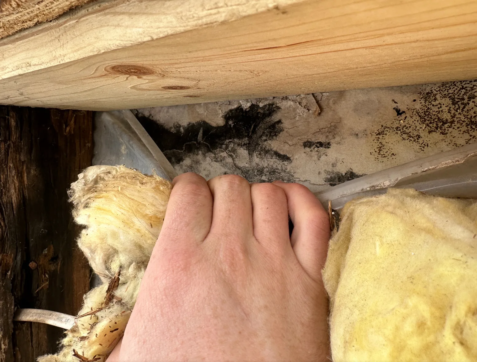 Siding Rot: Photos and Inspection Questions — archived photo 15