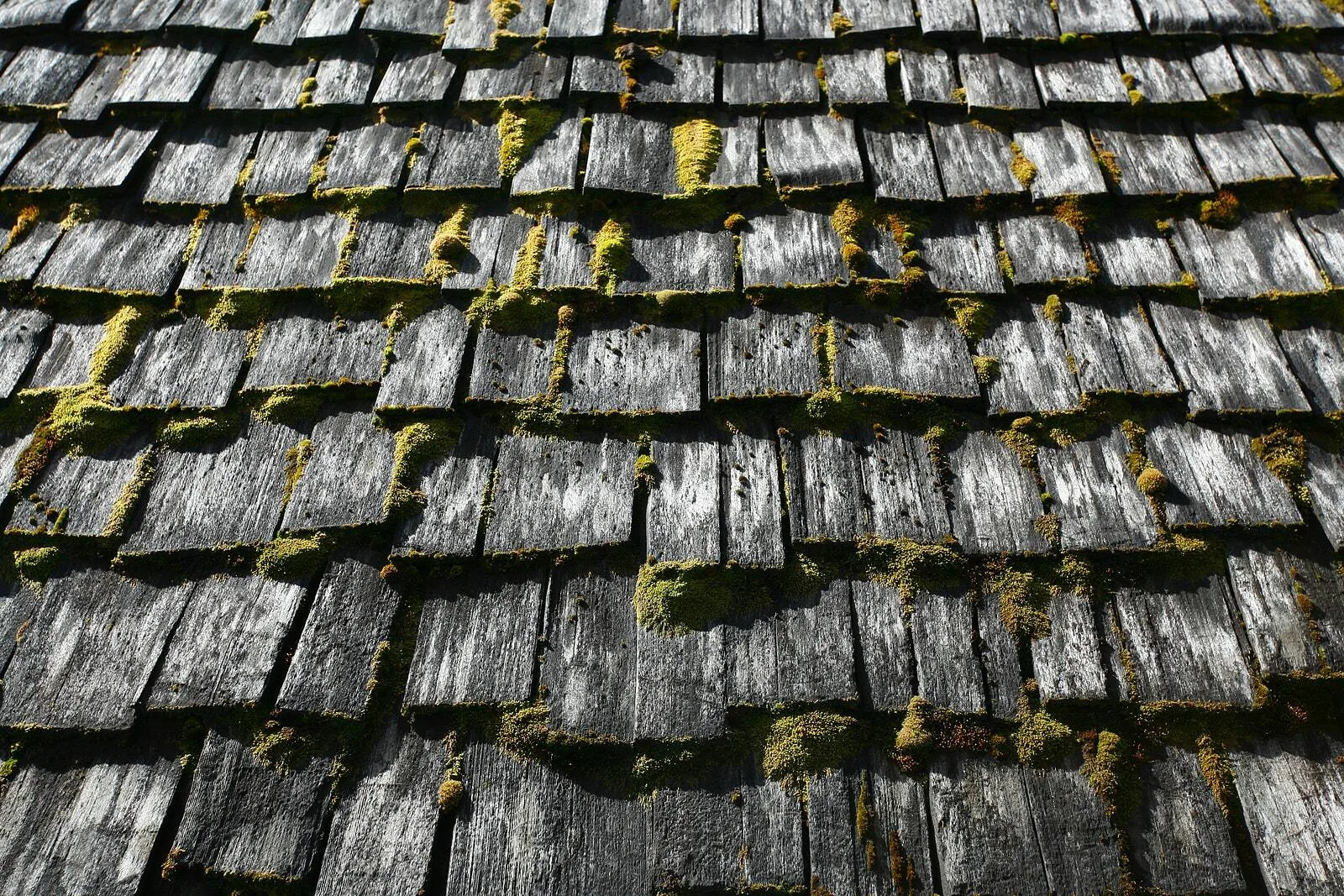 Wood Shake Roofs in Minneapolis: Repair or Replace? — archived photo 2