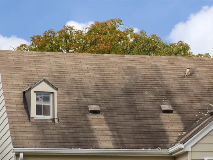 Roof Wear After Hot Weather: What to Inspect — archived photo 3