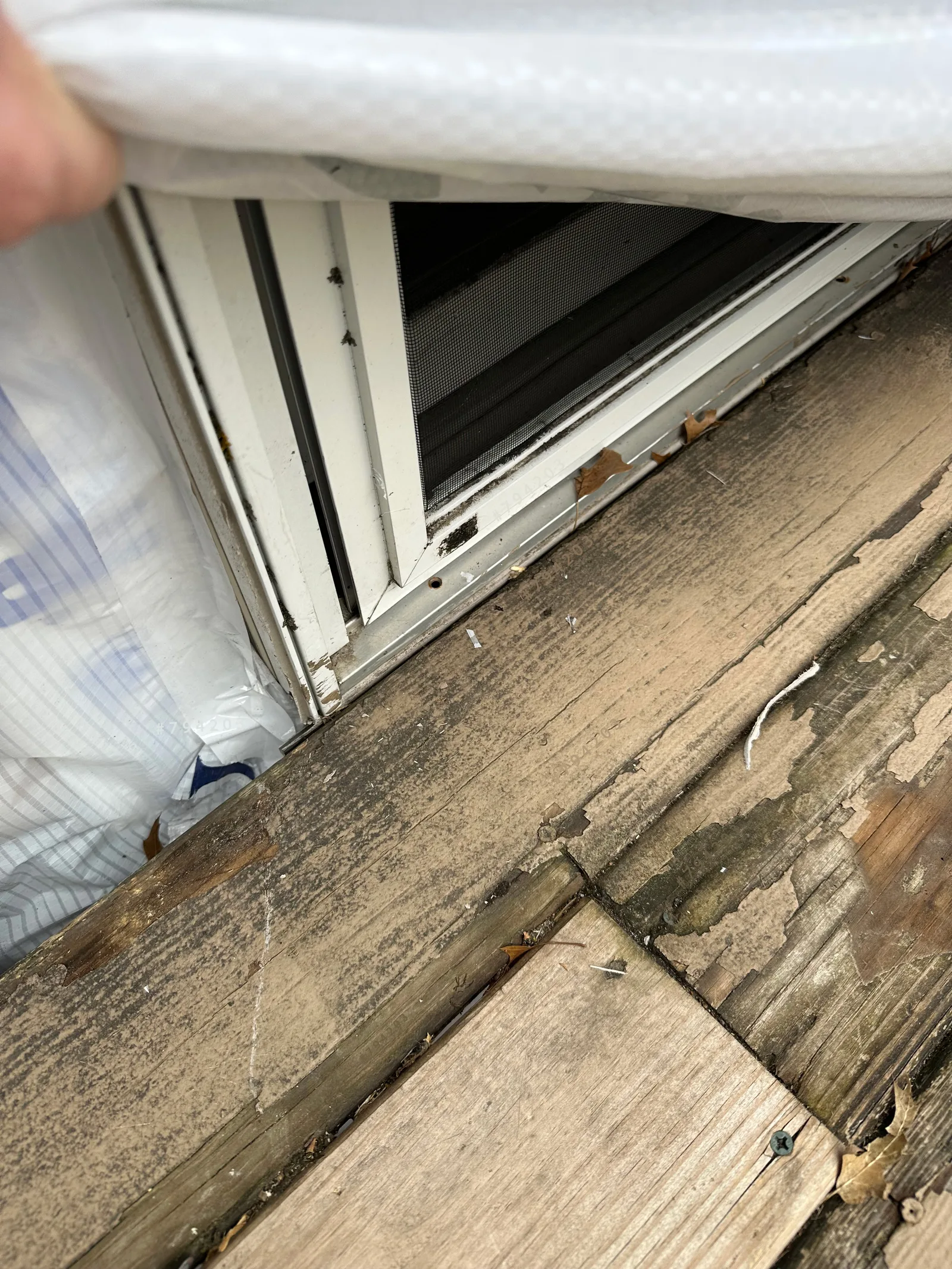 Siding Rot: Photos and Inspection Questions — archived photo 12