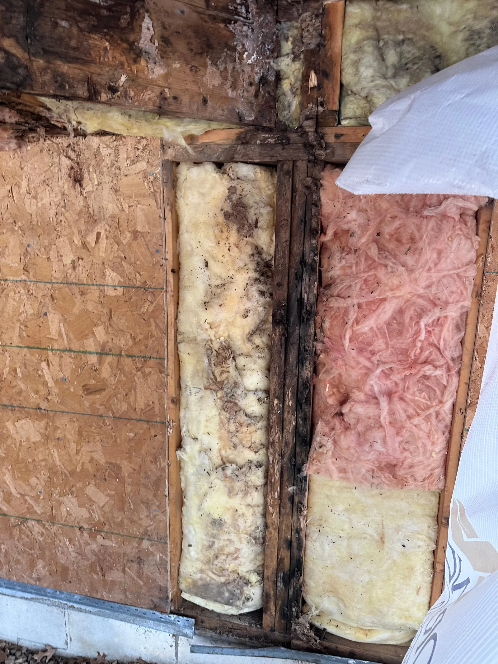 Siding Rot: Photos and Inspection Questions — archived photo 7