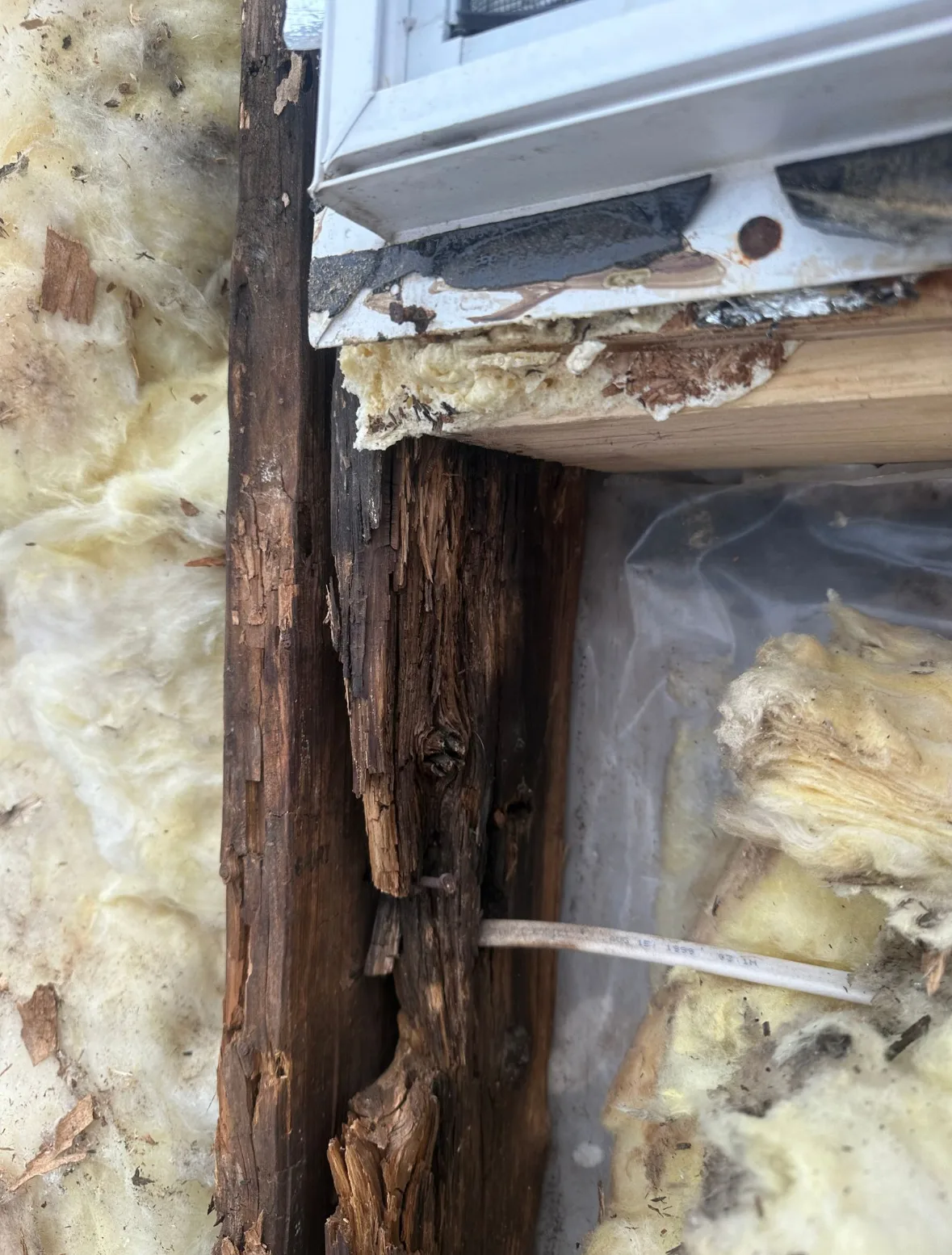 Siding Rot: Photos and Inspection Questions — archived photo 6