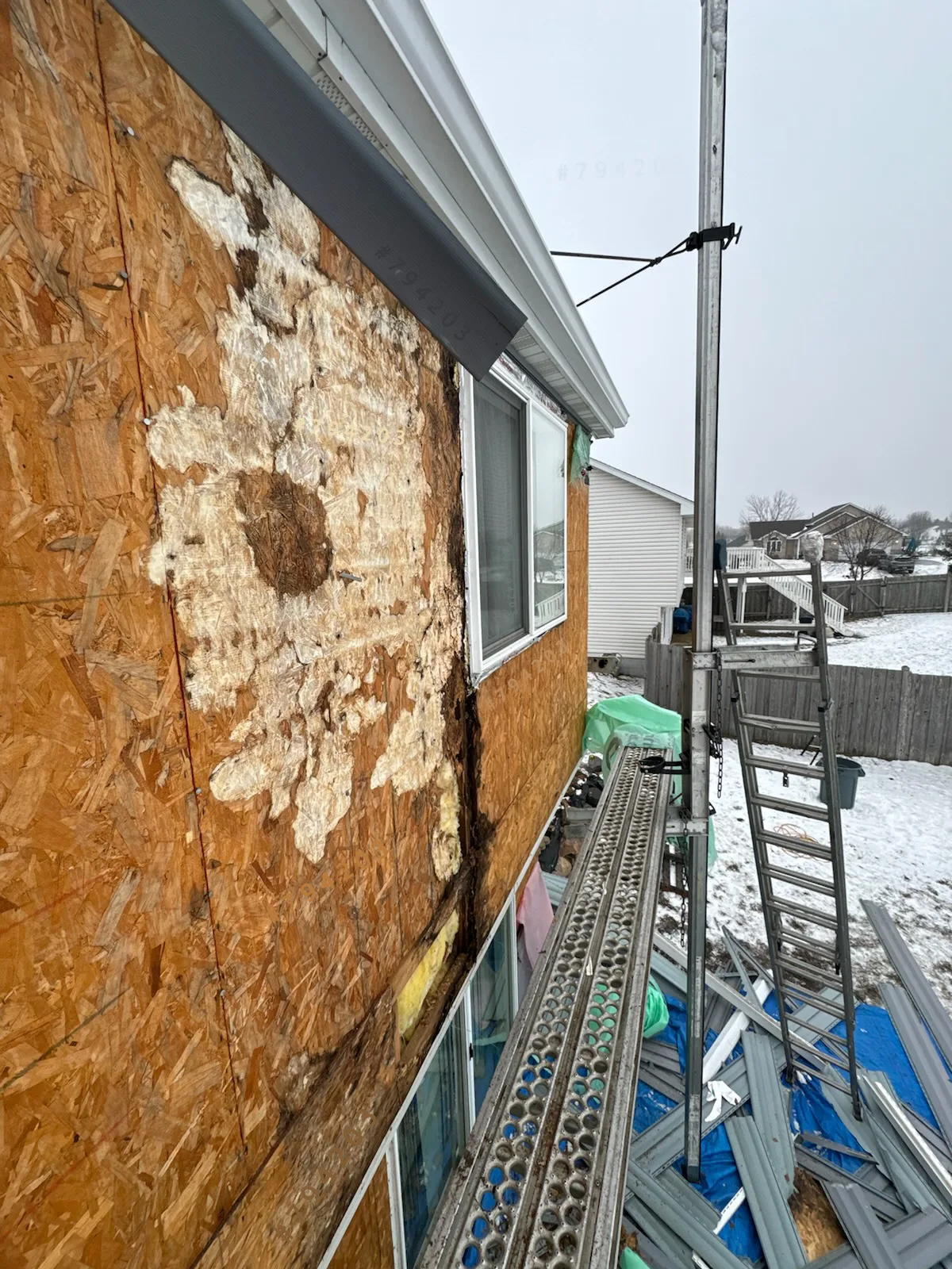 Siding Rot: Photos and Inspection Questions — archived photo 13